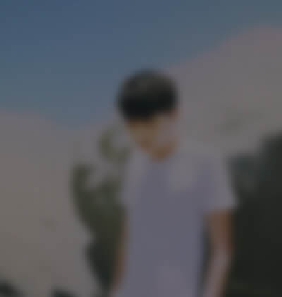 柳文